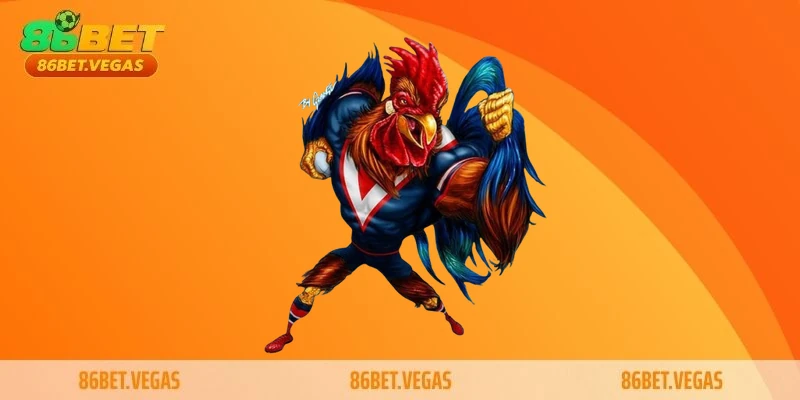 Xem đá gà Thomo kịch tính và bí quyết trải nghiệm trọn vẹn