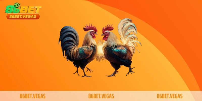Tổng quan đá gà 86bet